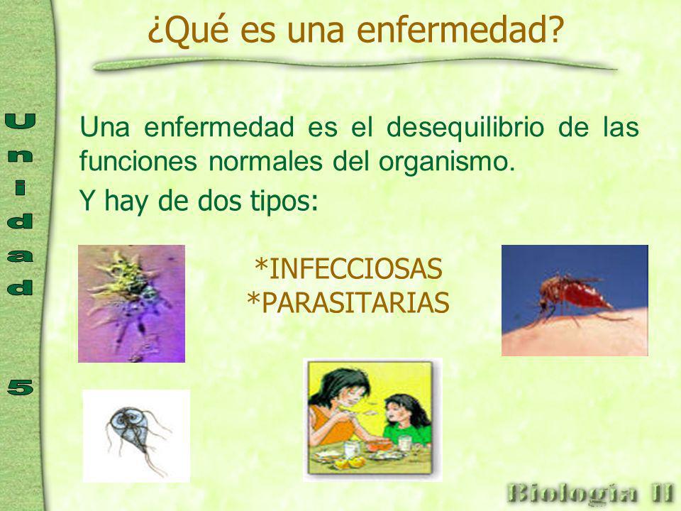 enfermedades infecciosas y parasitarias mas comunes enfermedades infecciosas y parasitarias mas comunes